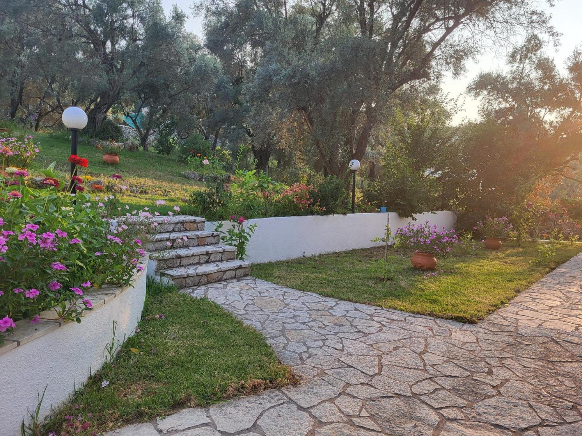 Lefkáda Dimitra Studios מראה חיצוני תמונה